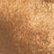 CAMEL/ GOLD