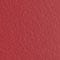 NEW CHERRY RED/ GOLD