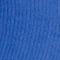 6474 blue iris