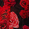 SCHWARZ/ ROT