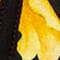 SCHWARZ/ GOLD