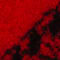 ROT/ SCHWARZ