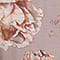 BEIGE/ HELLORANGE/ DUNKELROT