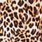 CAMEL/ SCHWARZ/ ORANGE