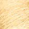GOLD/ CREME
