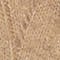 BRAUN/ ORANGE/ TAUPE