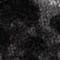 GRAU/ SCHWARZ