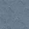 BLAUGRAU