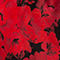 ROT/ SCHWARZ