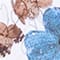 WEISS/ BLAU/ OLIV