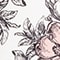 WEISS/ SCHWARZ/ ROSÉ
