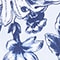 BLAU/ WEISS