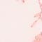 ROSA/ PINK