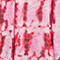 ROT/ ROSA