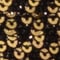 GOLD/ SCHWARZ