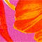 ORANGE/ PINK/ DUNKELORANGE