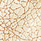 ZABAIONE/CAR20-GOLD
