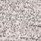 GRAU