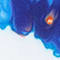 BLAU/ TÜRKIS/ ORANGE