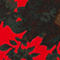 SCHWARZ/ ROT