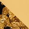 GOLD/ SCHWARZ