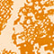 HELLORANGE/ ORANGE