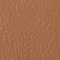 2754 CAMELIA/CAMELIA/CAME