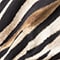 SCHWARZ/ BEIGE/ HELLBRAUN