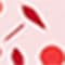 LACHS/ SCHWARZ/ ROT