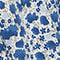 WEISS/ BLAU/ HELLBLAU