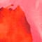 ROT/ PINK/ ORANGE