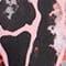 SCHWARZ/ ROSA/ HELLGRAU