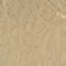 B036 Light Gold
