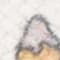 CREME/ WEISS/ HELLGRAU