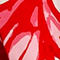 ROT/ WEISS/ HELLROSA