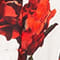 WEISS/ ROT/ GRÜN