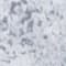HELLGRAU/ GRAU