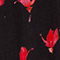 SCHWARZ/ ROT