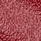 6476 NEW CHERRY RED