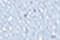 394 GLAM LIGHT BLUE