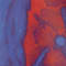 ROT/ BLAU