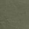 1699 olive