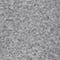 GRAU