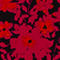 SCHWARZ/ PINK/ ORANGE