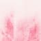 WEISS/ PINK