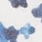 WEISS/ BLAU/ DUNKELBLAU