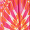 PINK/ RED/ ORANGE