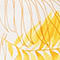 844B saffron printed
