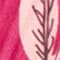 PINK/ ROSA