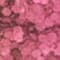 PINK/ LILA/ GELB